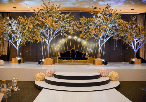 Marriage Decoration in Gandhi Nagar
